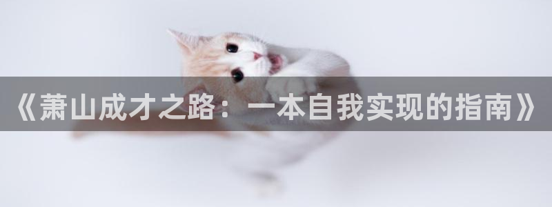 歪歪漫画虫虫：《萧山成才之路：一本自我实现的指南》