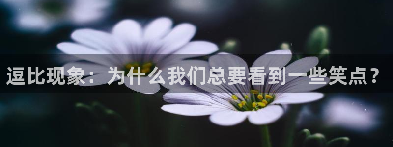 虫虫漫画：逗比现象：为什么我们总要看到一些笑点？