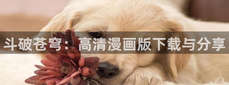 虫虫漫画网站免费：斗破苍穹：高清漫画版下载与分享