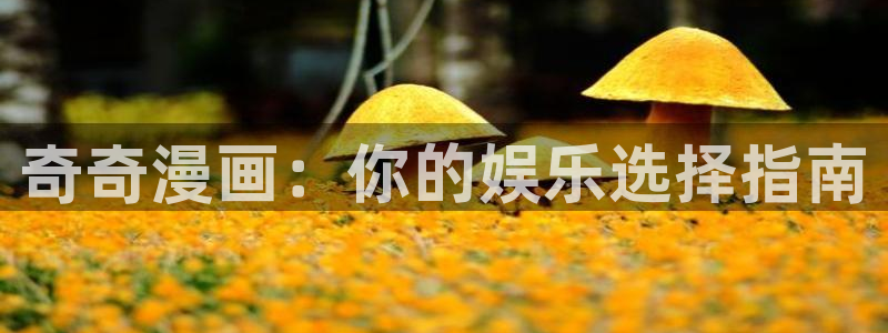 虫虫漫画在线观看页面免费漫画：奇奇漫画：你的娱乐选择指南
