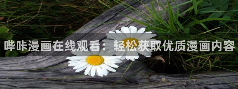 奈斯漫画虫虫漫画严选漫画：哔咔漫画在线观看：轻松获取优质漫画内容