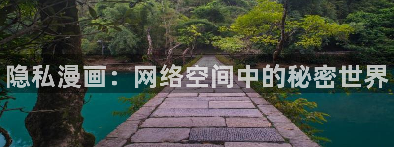 虫虫漫画免费的热门的漫画好看的漫画排行榜：隐私漫画：网络空间中的秘密世界