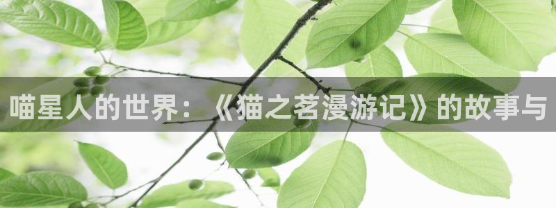 虫虫漫画在线看漫画免费弹窗页面：喵星人的世界：《猫之茗漫游记》的故事与