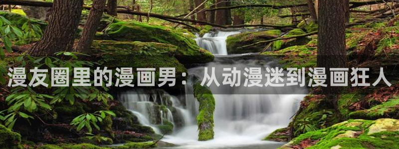虫虫漫画旧版本全部：漫友圈里的漫画男：从动漫迷到漫画狂人