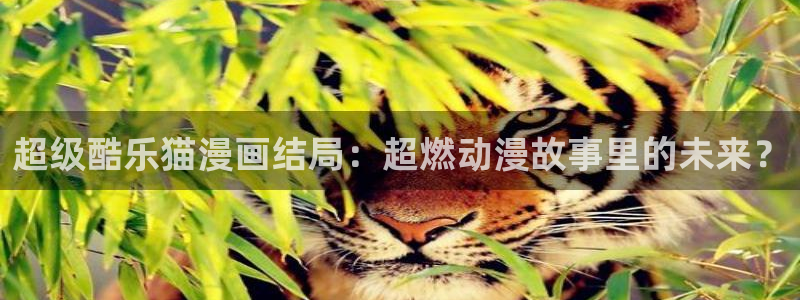 大话降龙虫虫漫画：超级酷乐猫漫画结局：超燃动漫故事里的未来？
