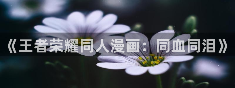 虫虫漫画网页版在线观看：《王者荣耀同人漫画：同血同泪》