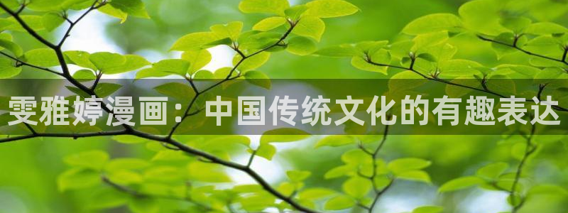 汗汗虫虫漫画免费阅读看漫：雯雅婷漫画：中国传统文化的有趣表达